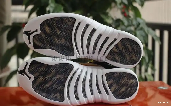 Air Retro Wings Jordan 12 Authentic 0519